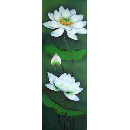 Lotus white flowers